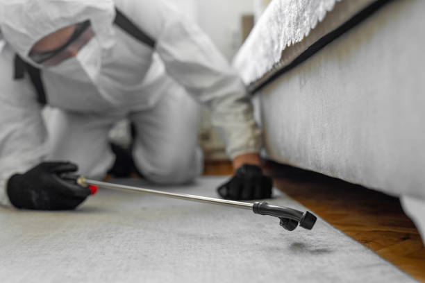 Professional Termite Control technician working in Summit View, WA