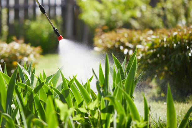 24/7 Emergency Termite Control experts in Summit View, WA